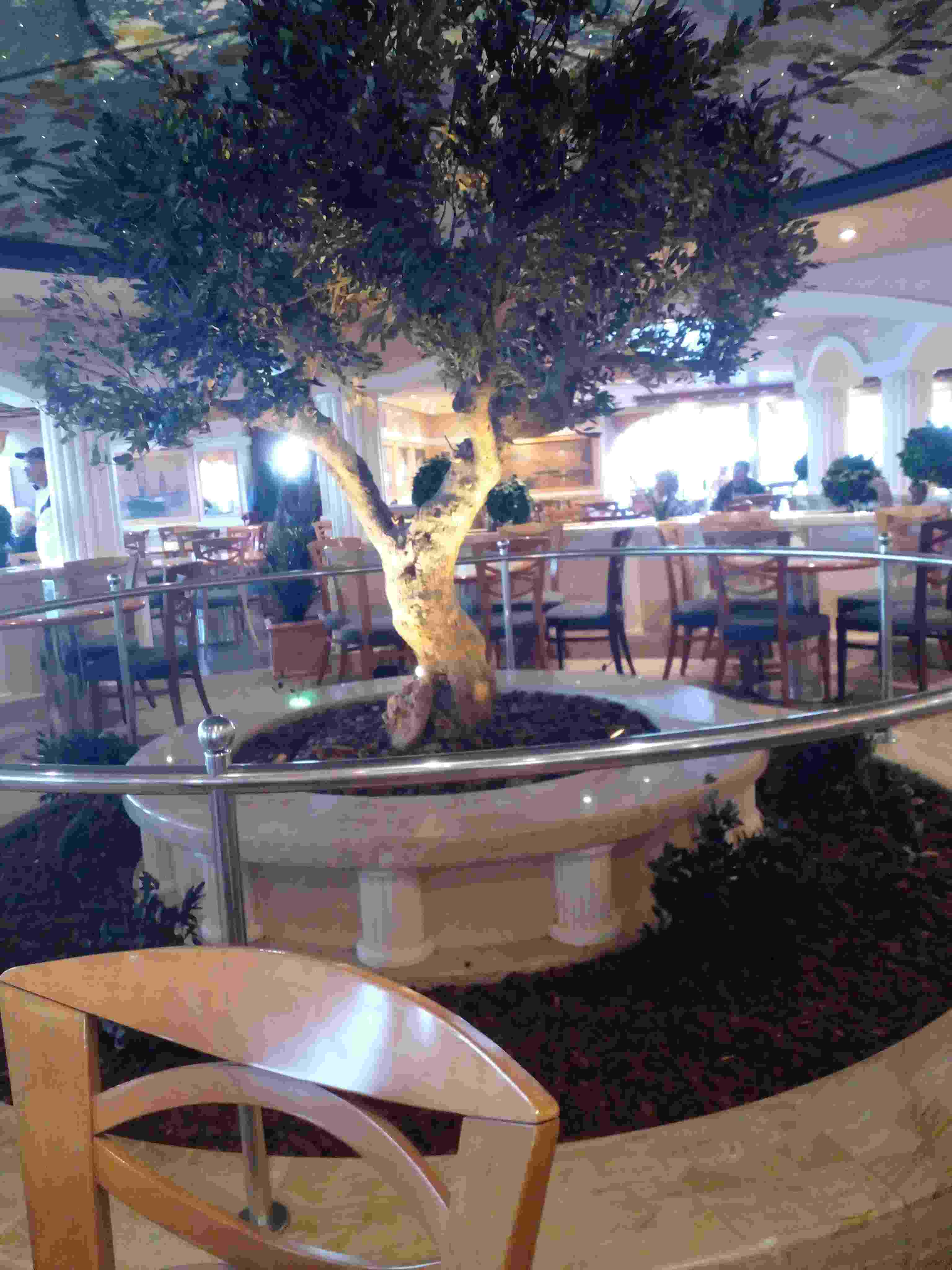 Surrounded by chairs, a small tree dominates one of the corners of the buffet. We usually hung out here with my wife.